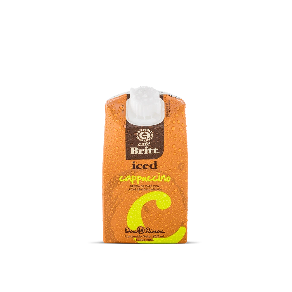 costa-rican-coffee-iced-cappuccino-250ml-front-view.webp