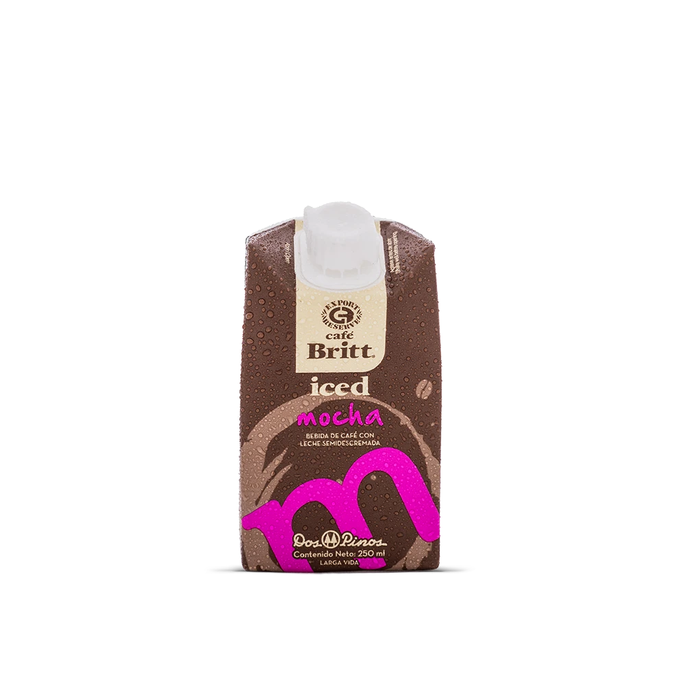 costa-rican-coffee-iced-mocha-250ml-front-view.webp